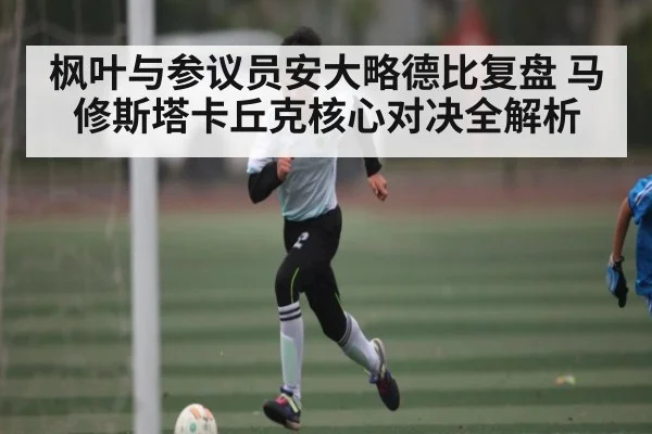 枫叶与参议员安大略德比复盘 马修斯塔卡丘克核心对决全解析
